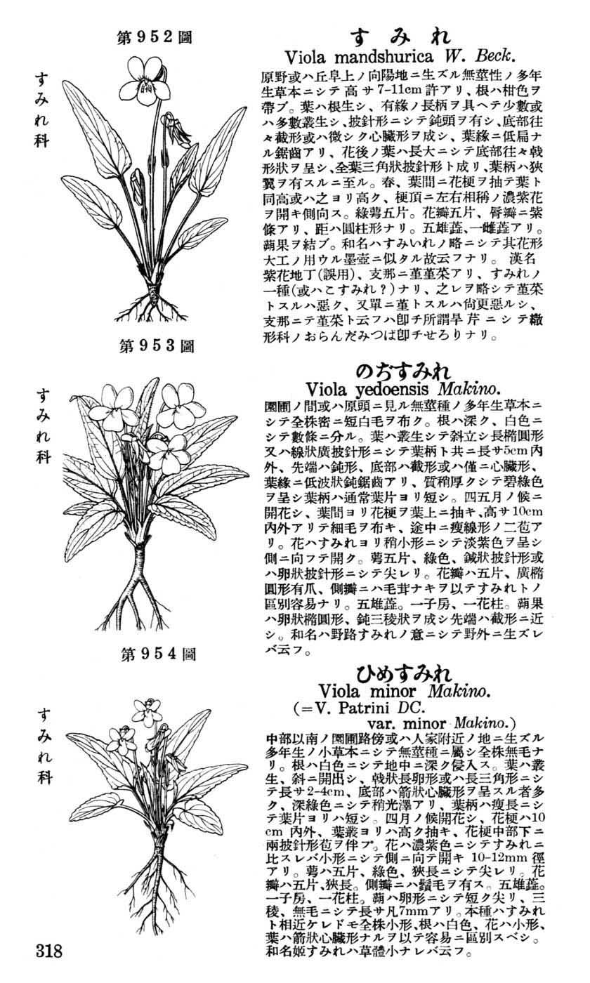 植物図鑑