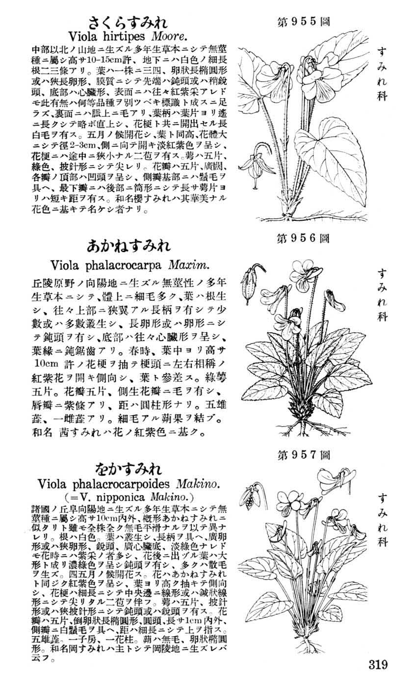 植物図鑑