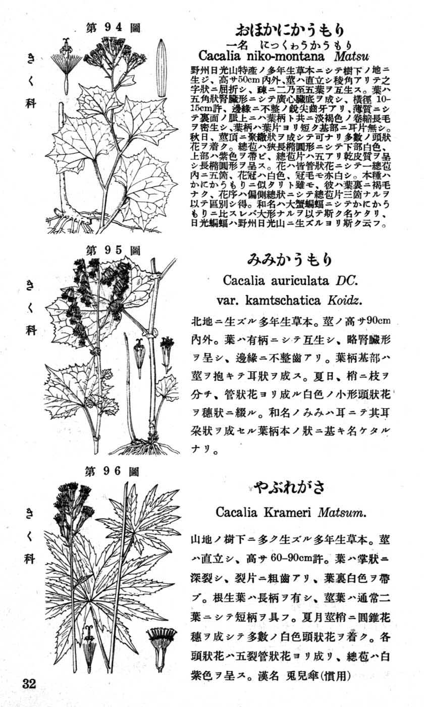 植物図鑑