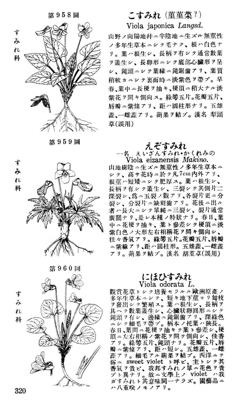 植物図鑑