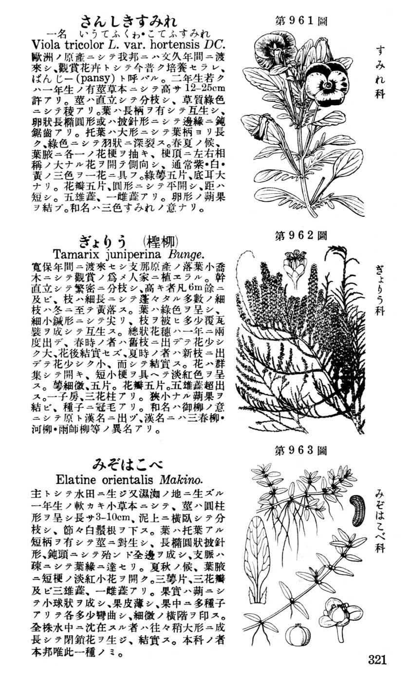 植物図鑑