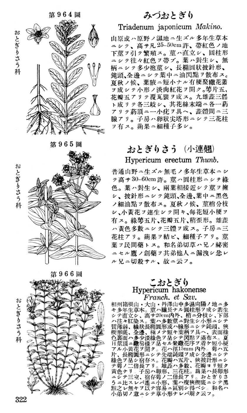 植物図鑑