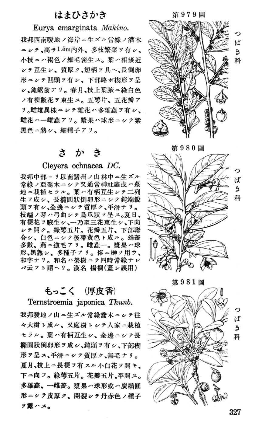 植物図鑑