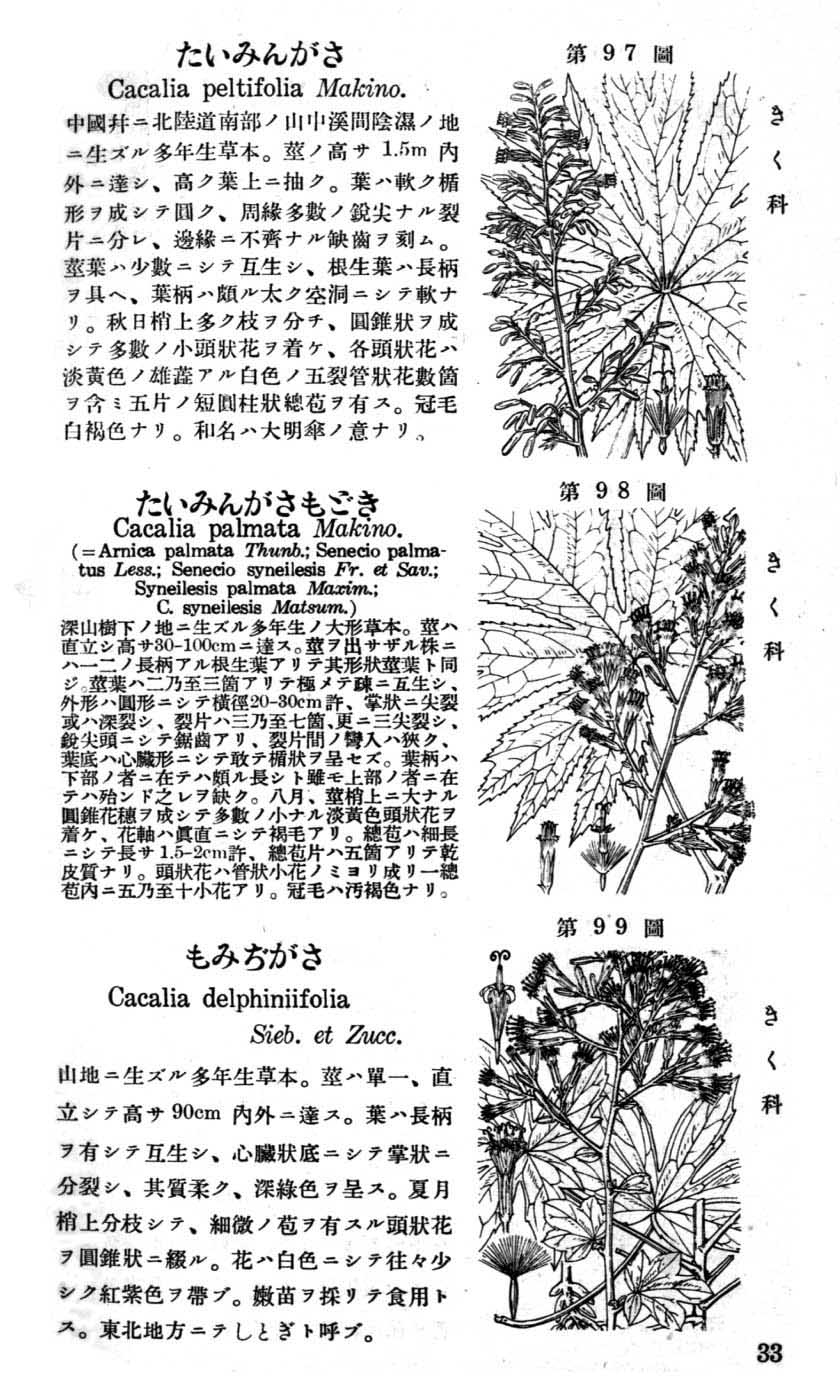 植物図鑑