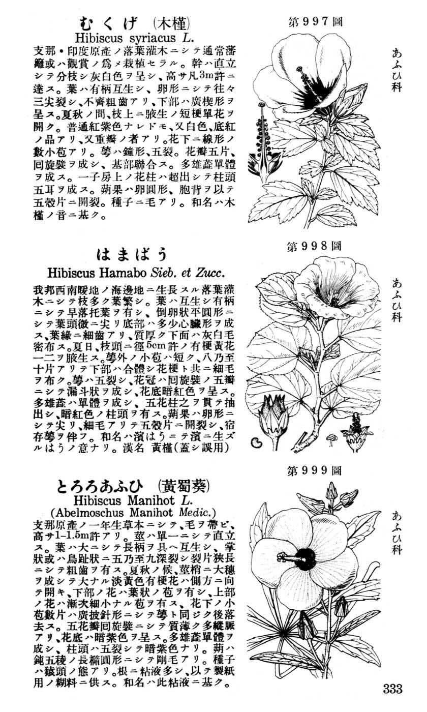 植物図鑑