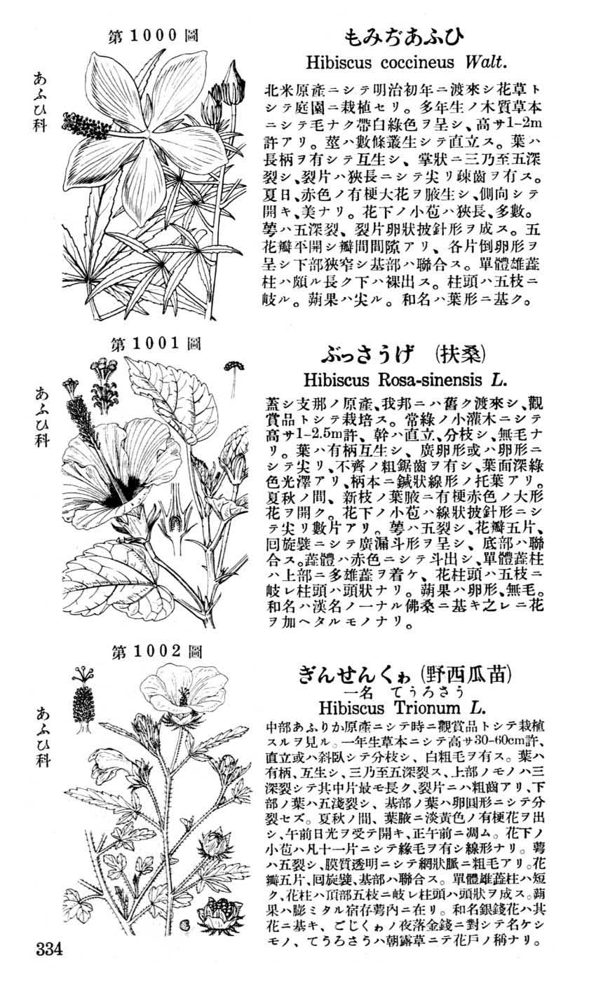 植物図鑑