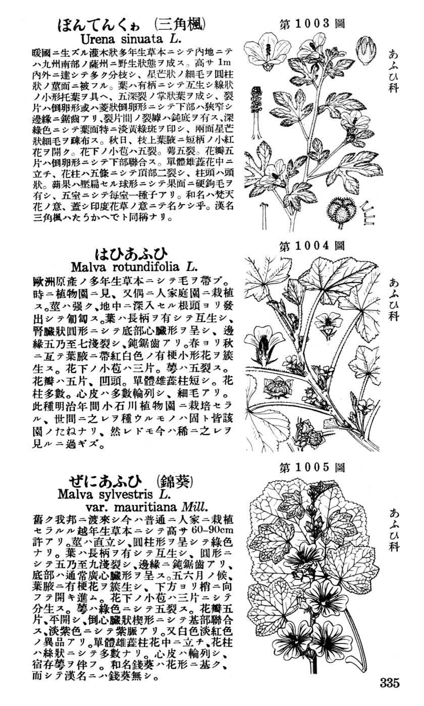 植物図鑑