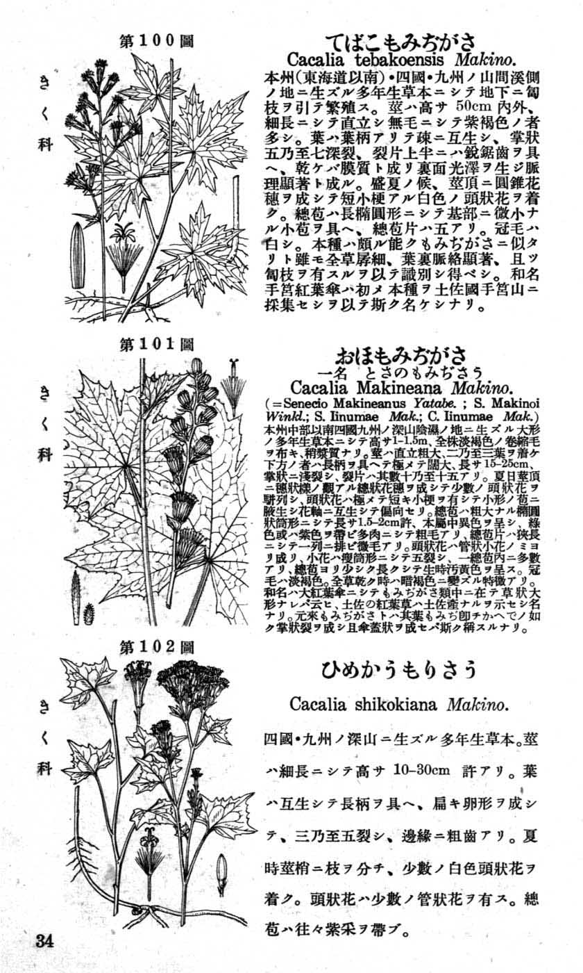 植物図鑑