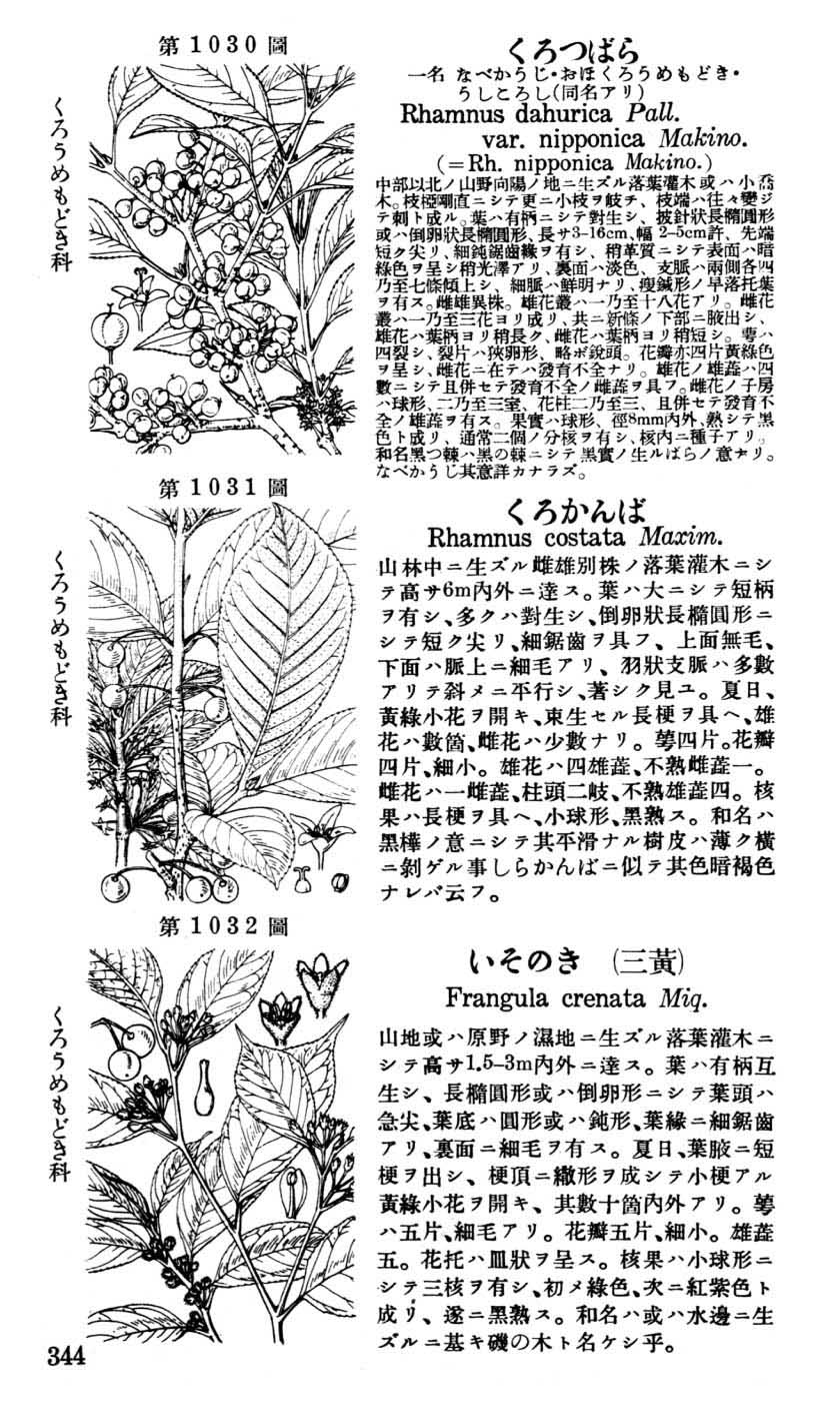 植物図鑑