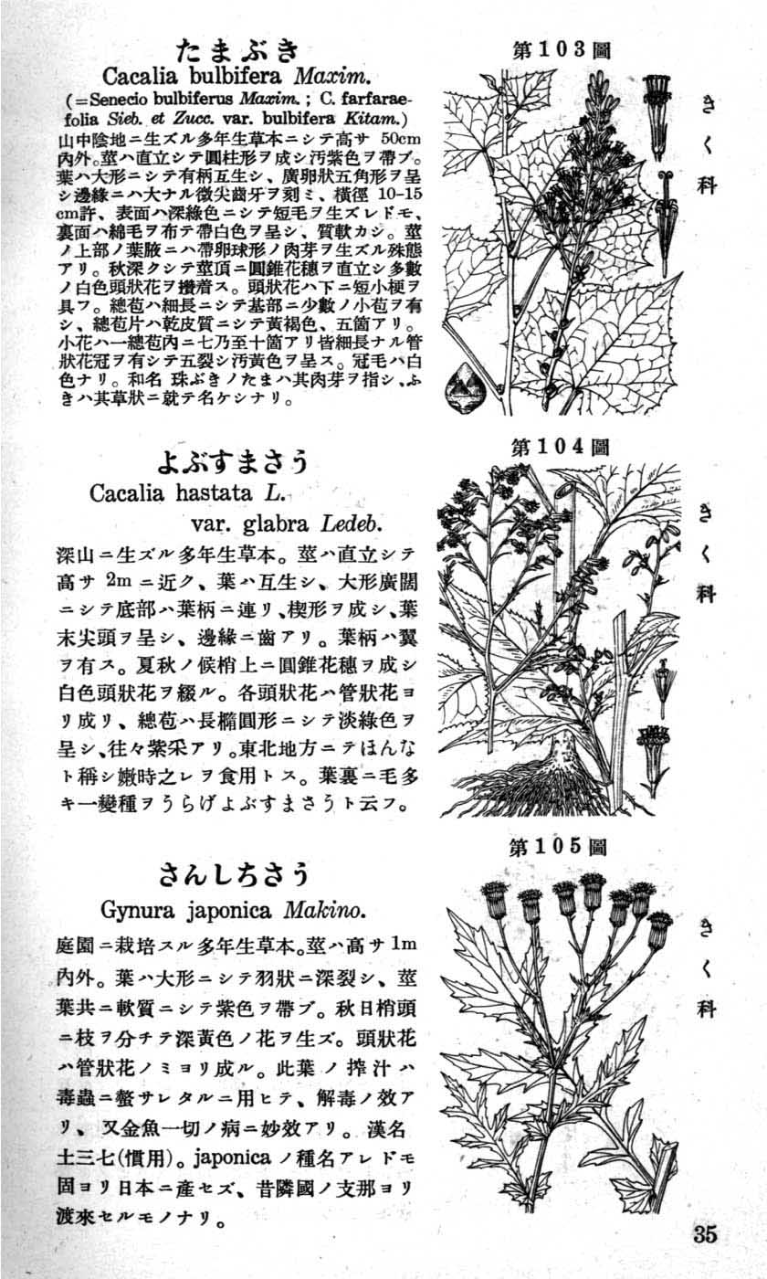 植物図鑑