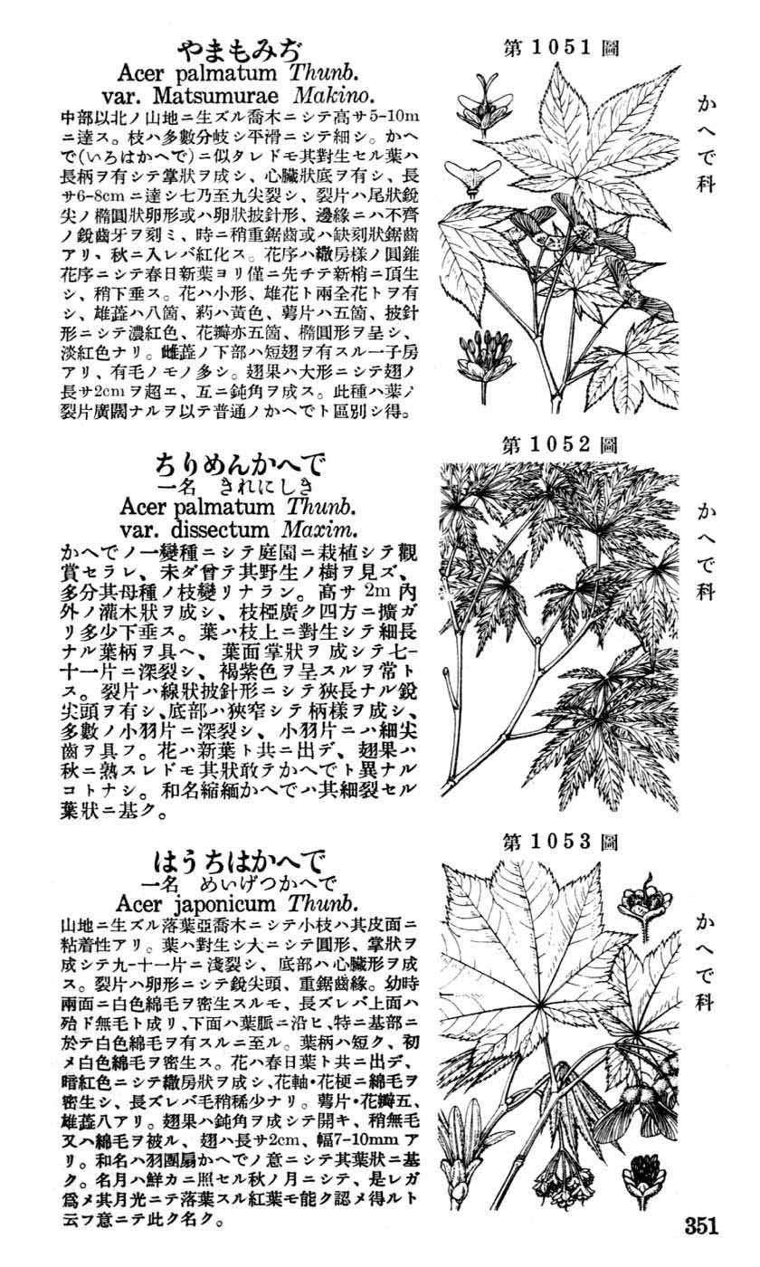 植物図鑑