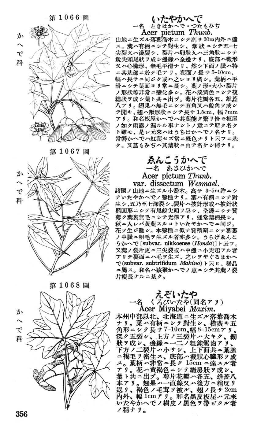 植物図鑑