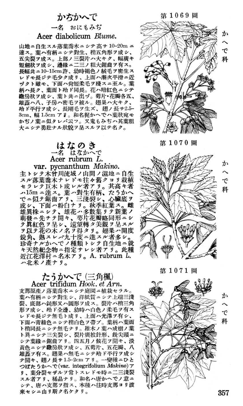 植物図鑑