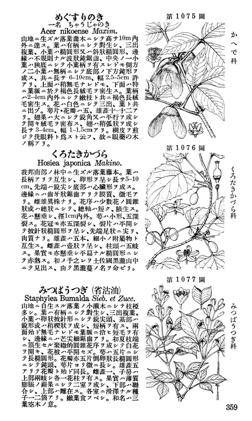 植物図鑑