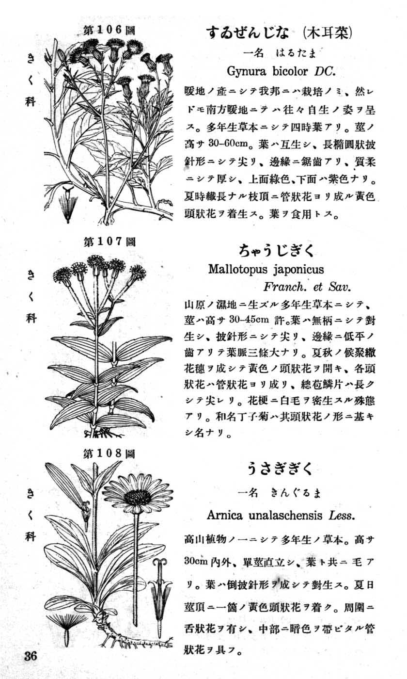 植物図鑑