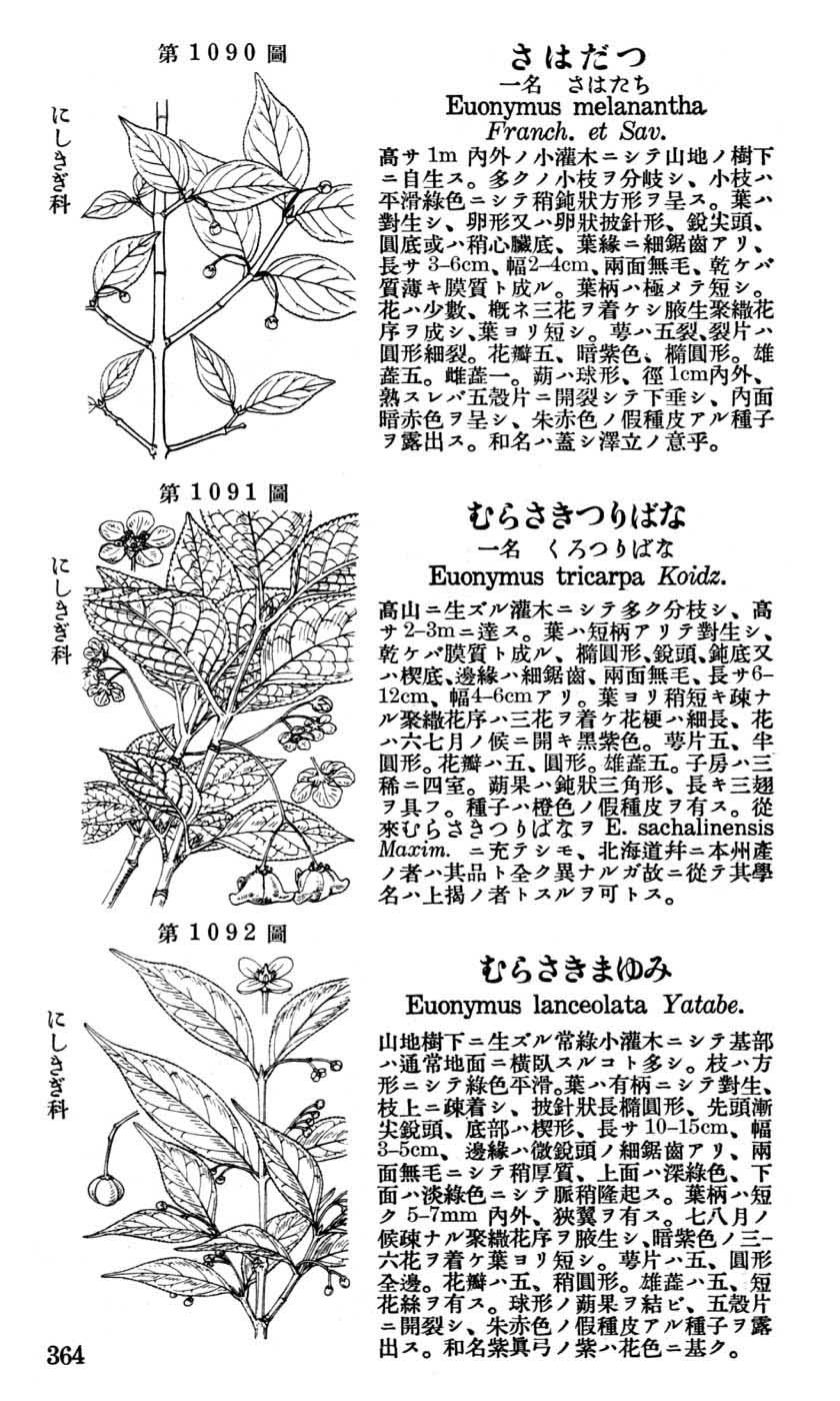 植物図鑑