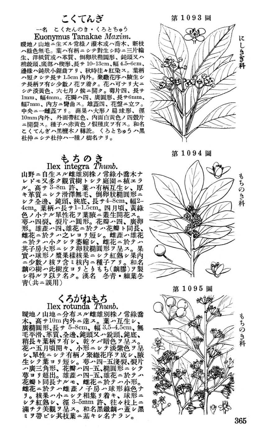 植物図鑑