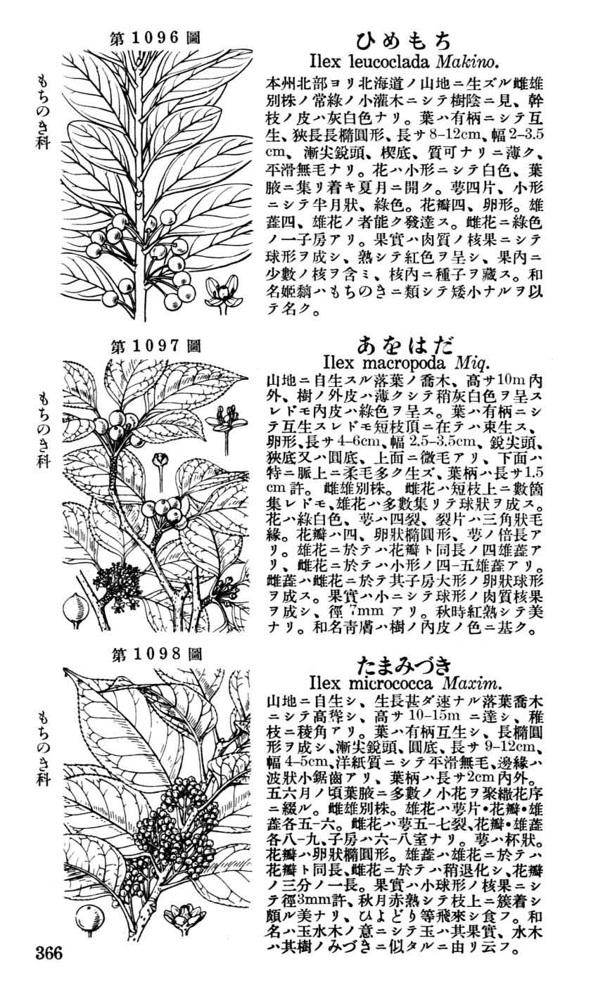 植物図鑑