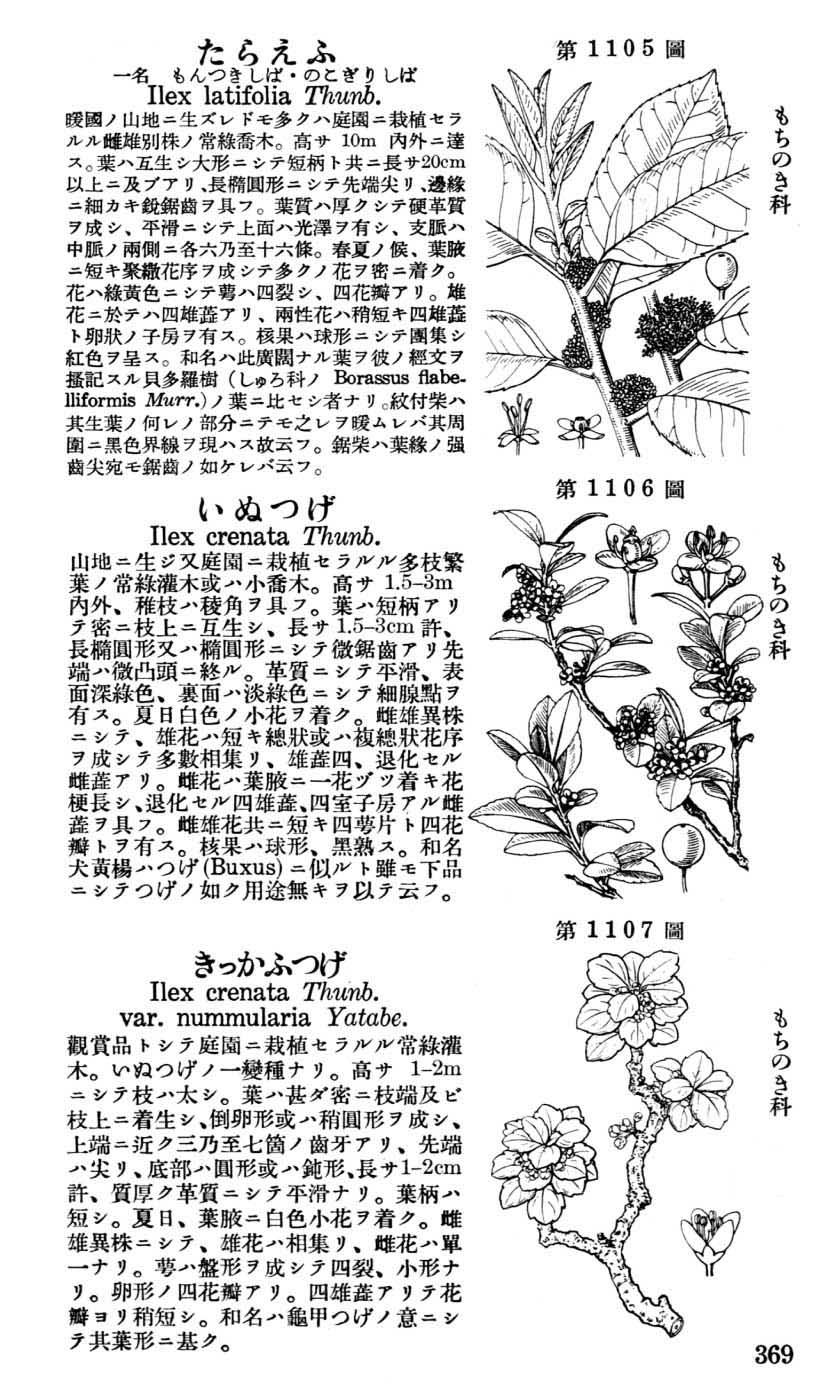 植物図鑑