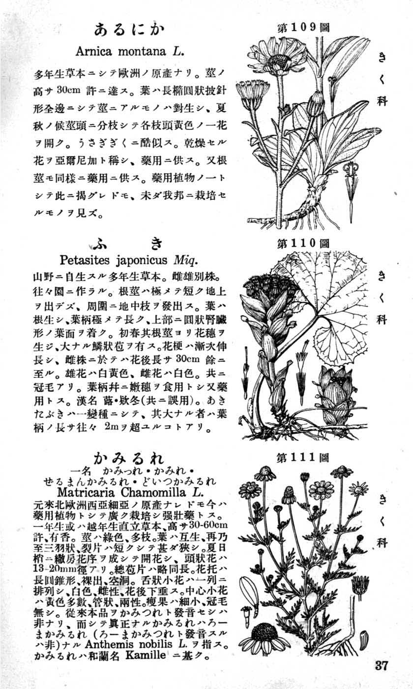 植物図鑑