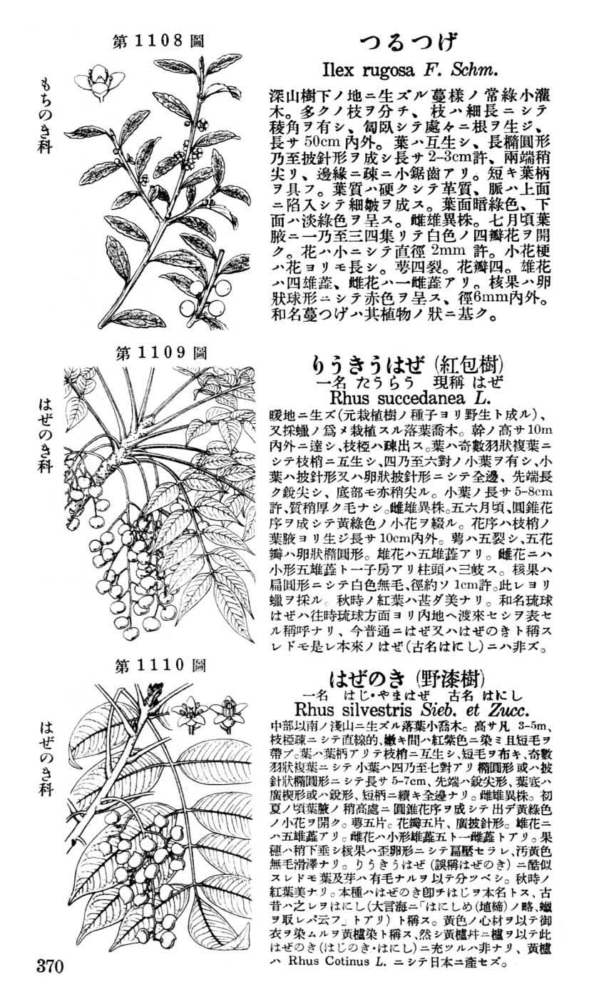 植物図鑑