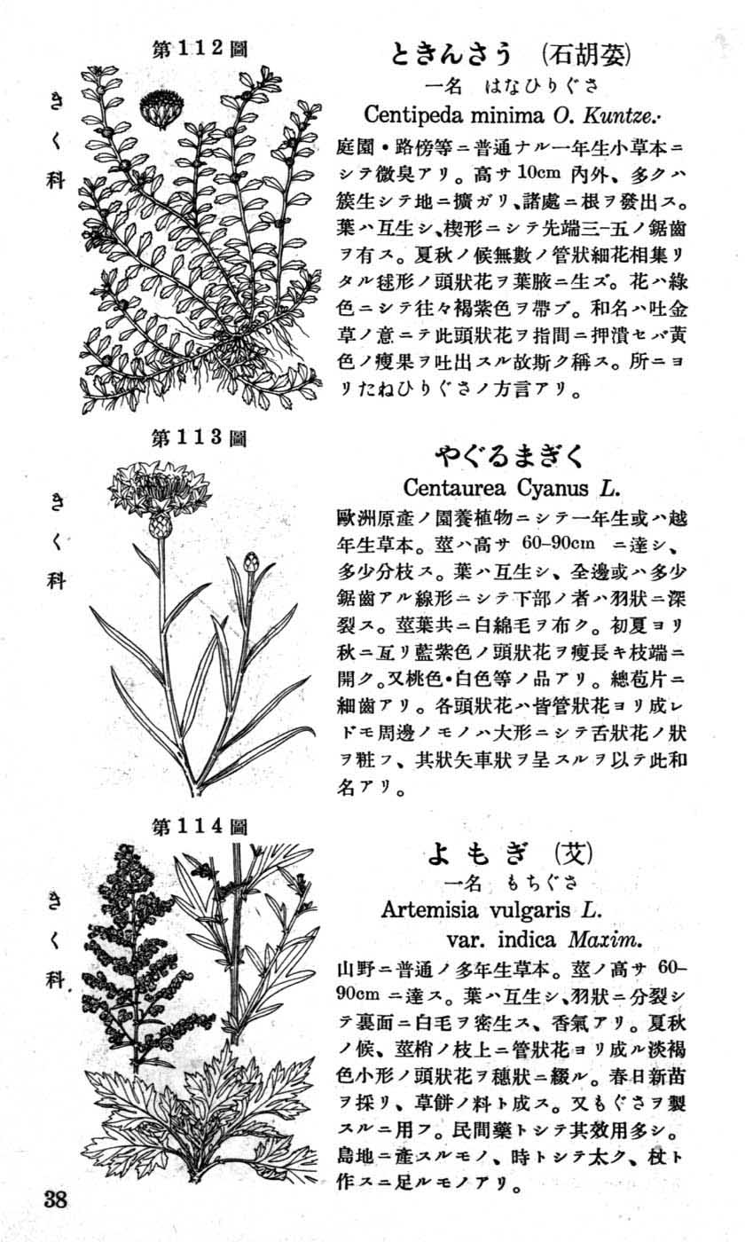 植物図鑑