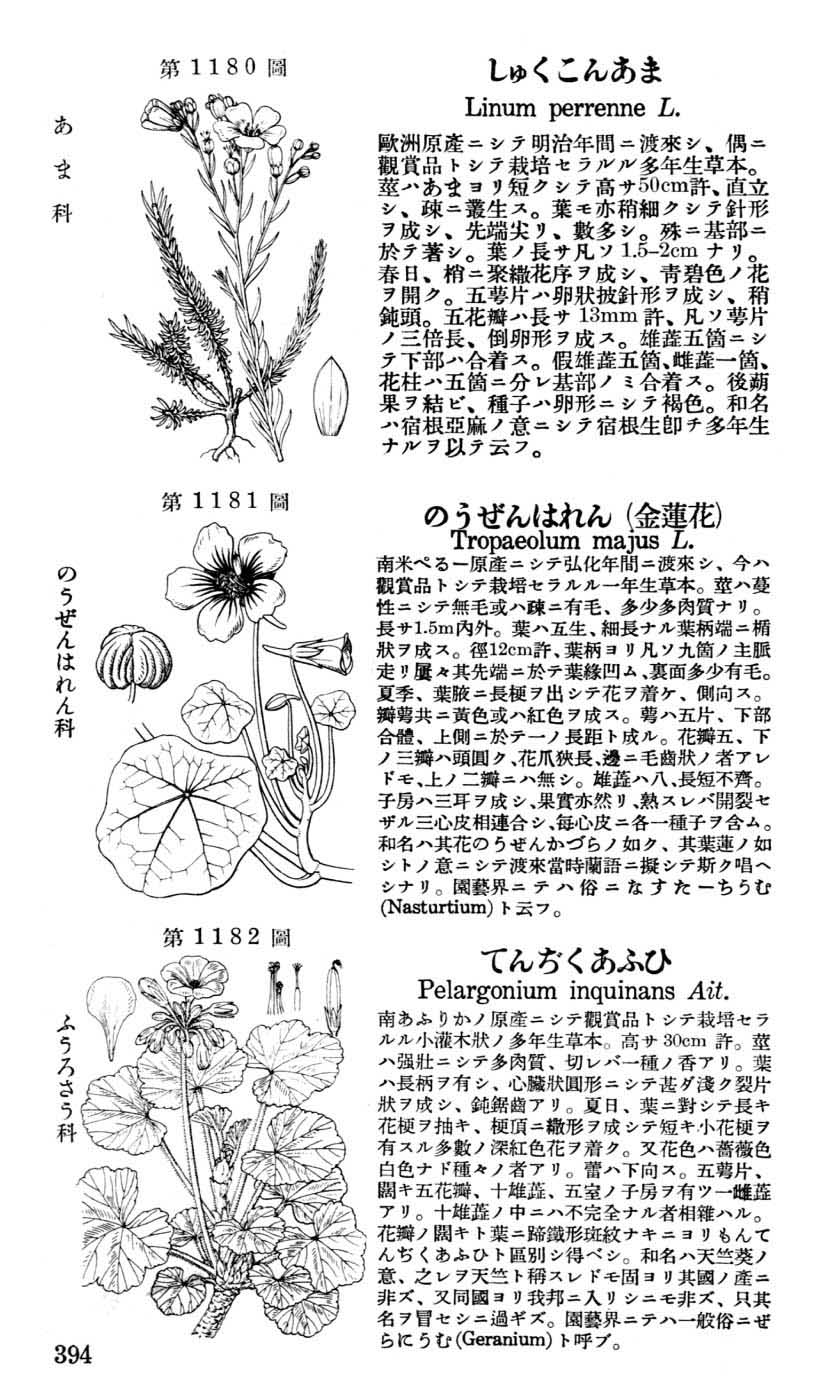 植物図鑑