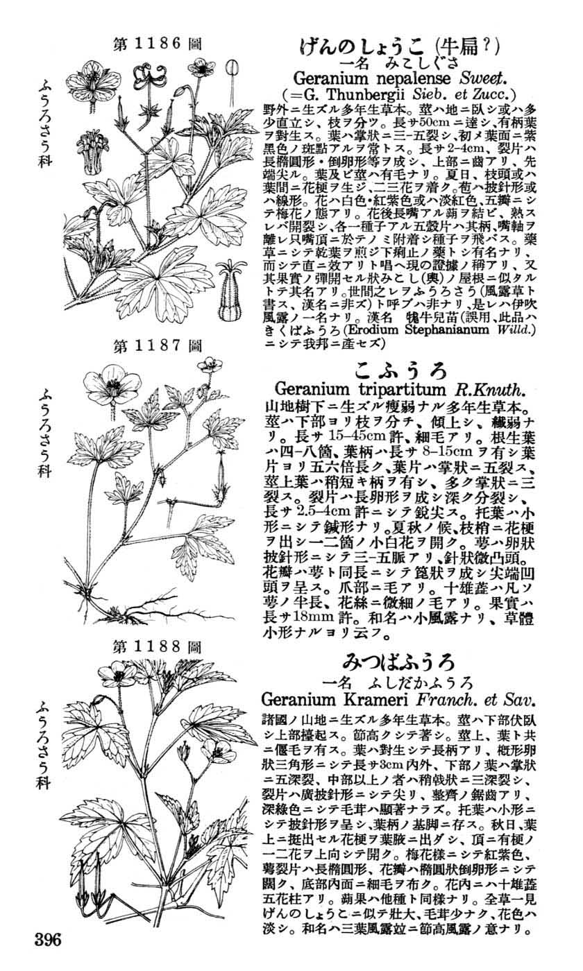 植物図鑑