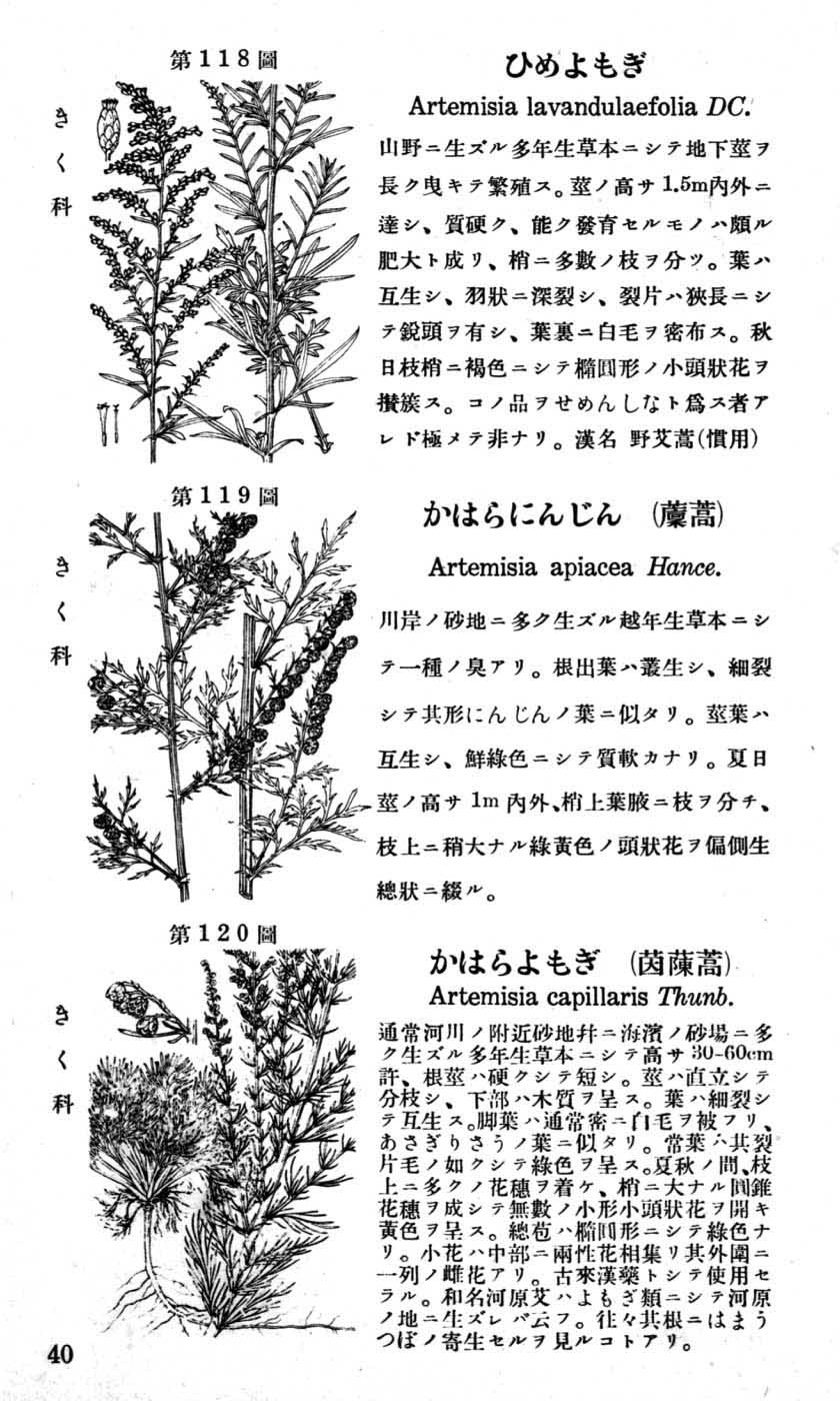 植物図鑑