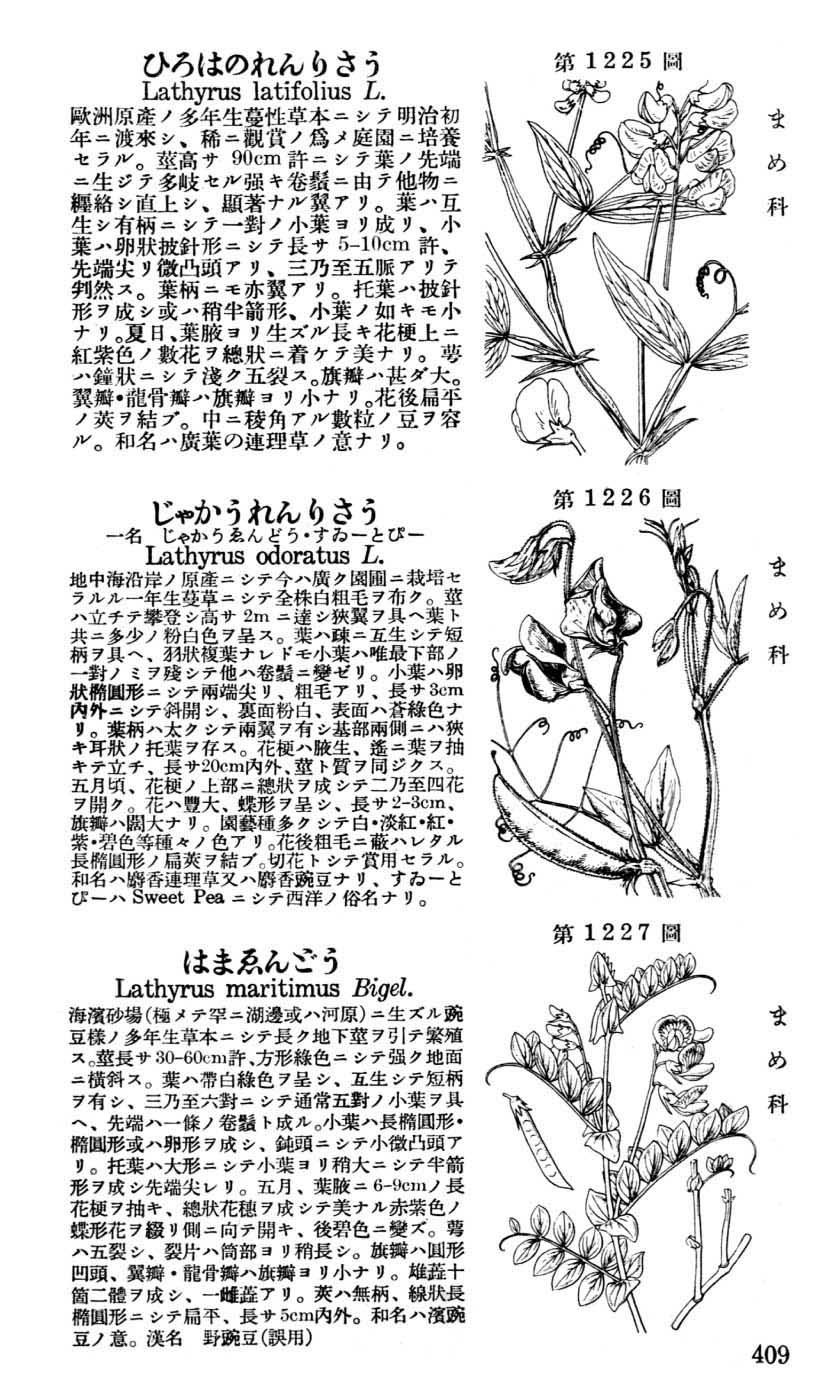 植物図鑑