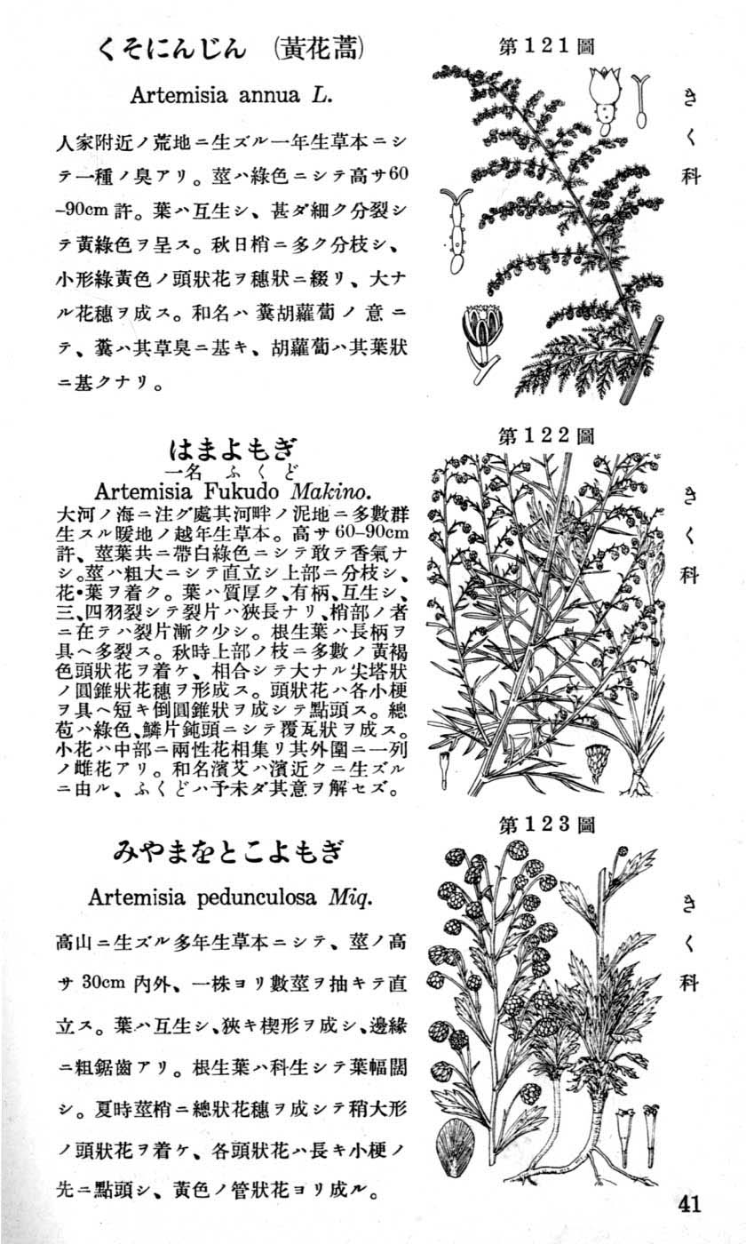 植物図鑑