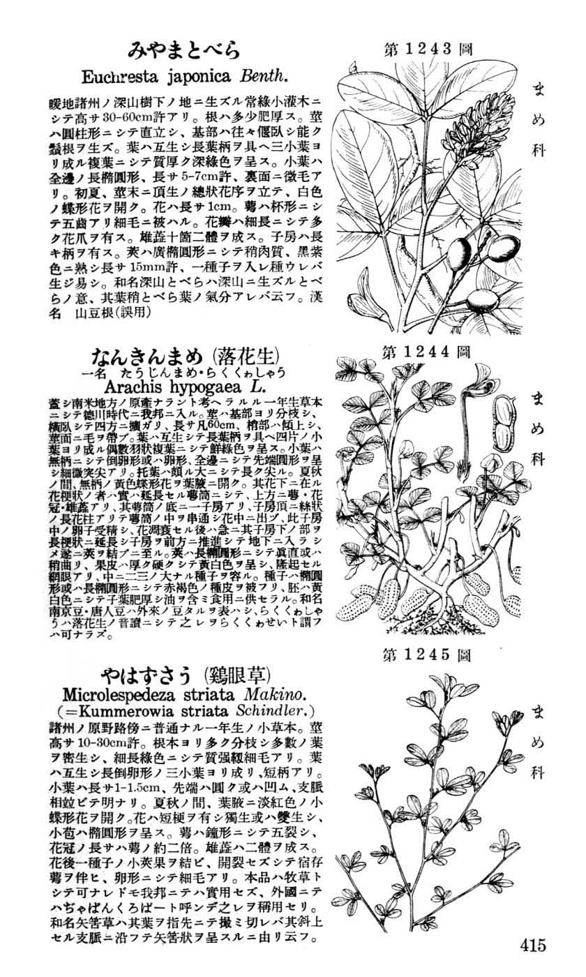 植物図鑑
