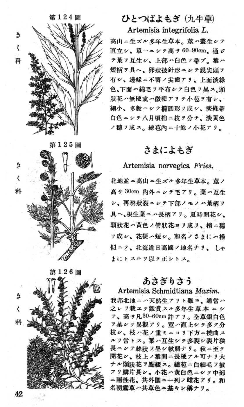 植物図鑑