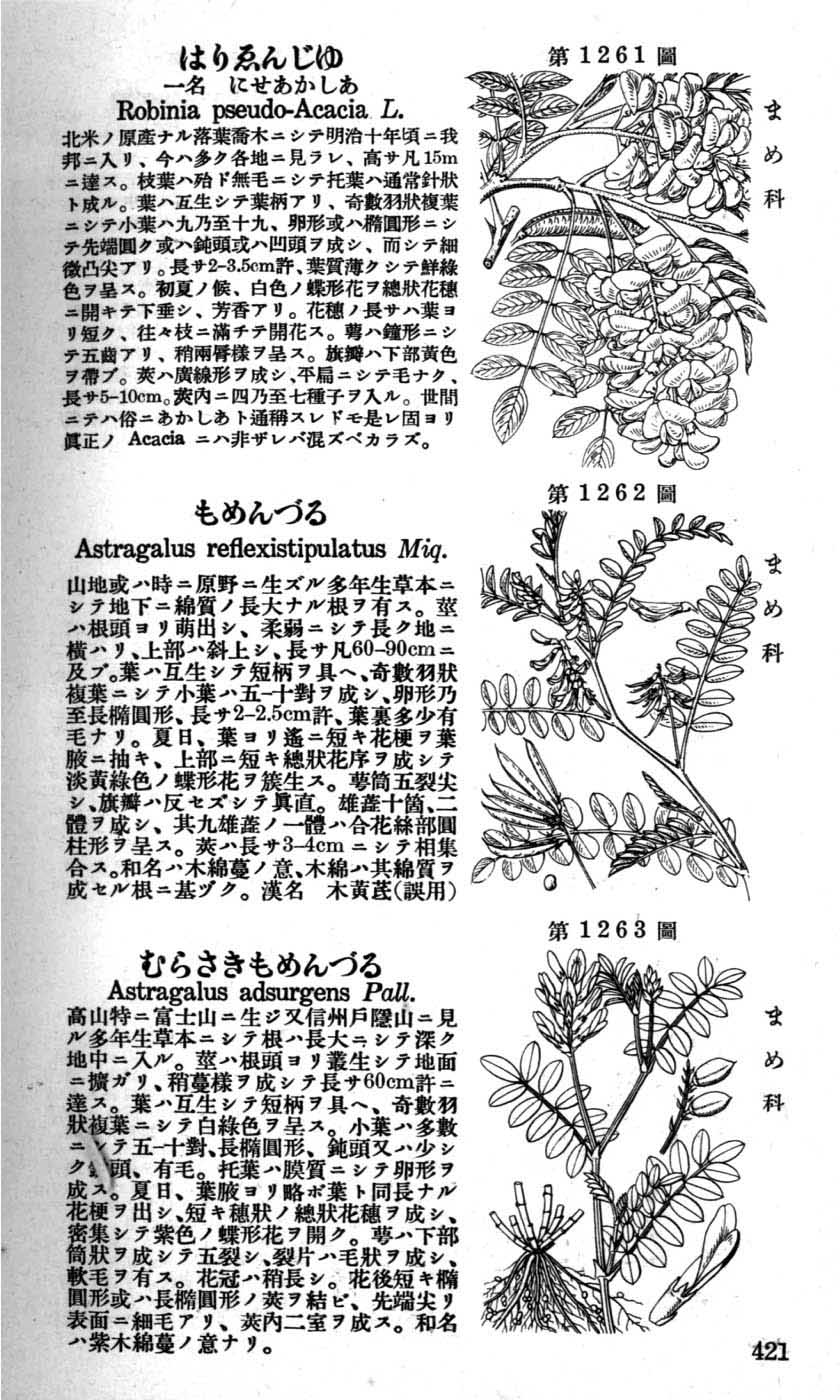 植物図鑑