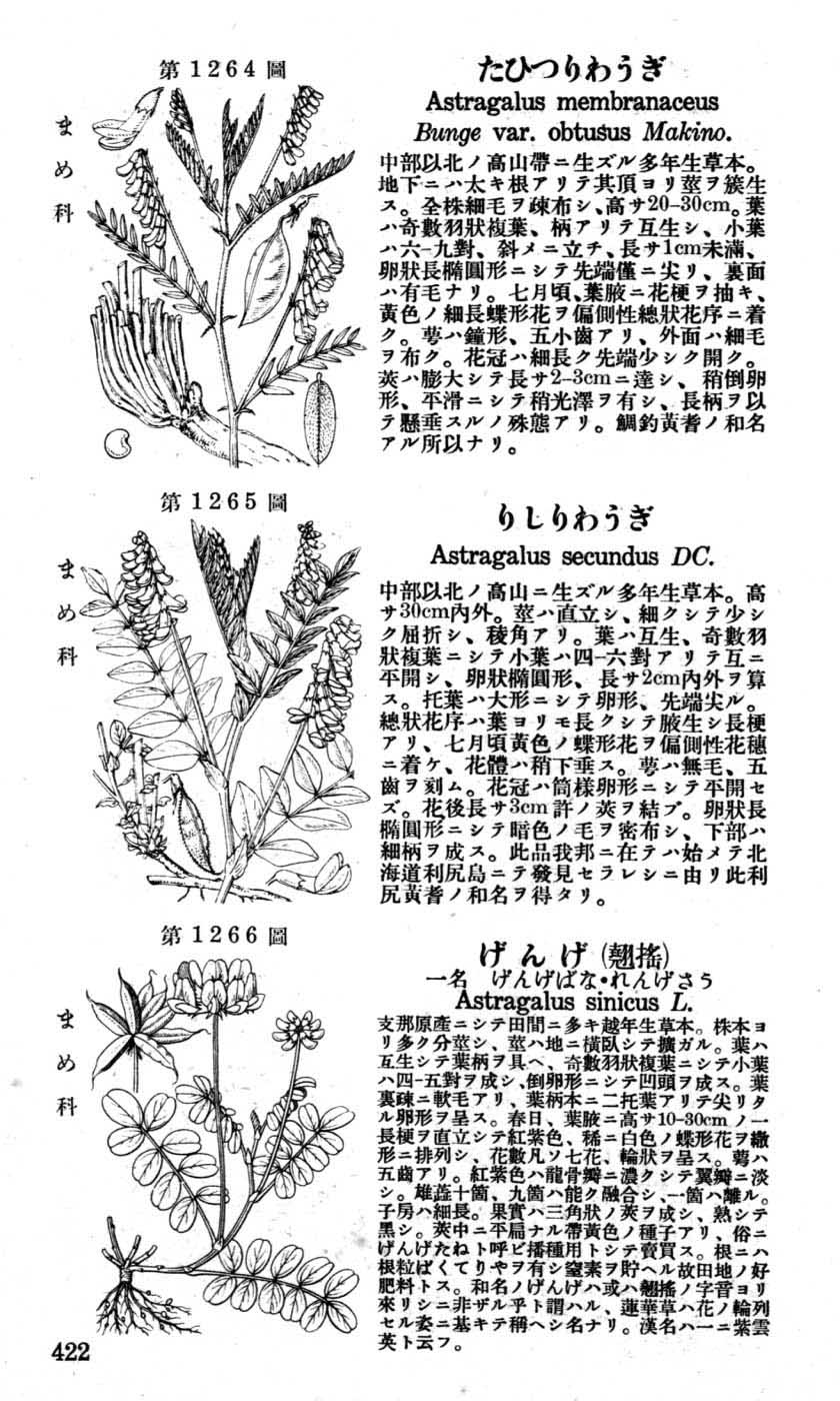 植物図鑑