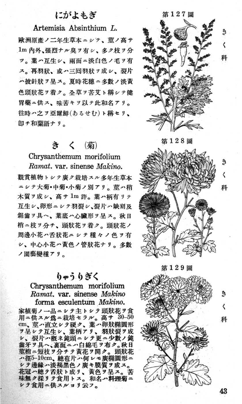 植物図鑑