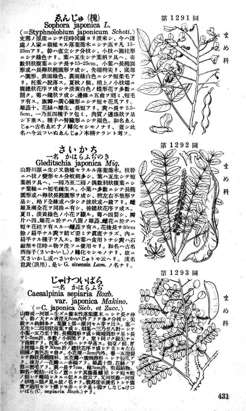 植物図鑑