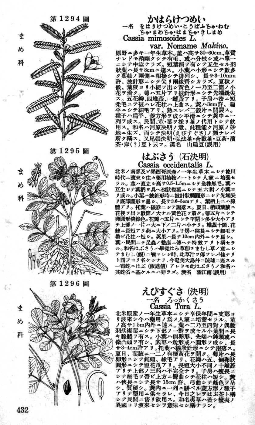 植物図鑑