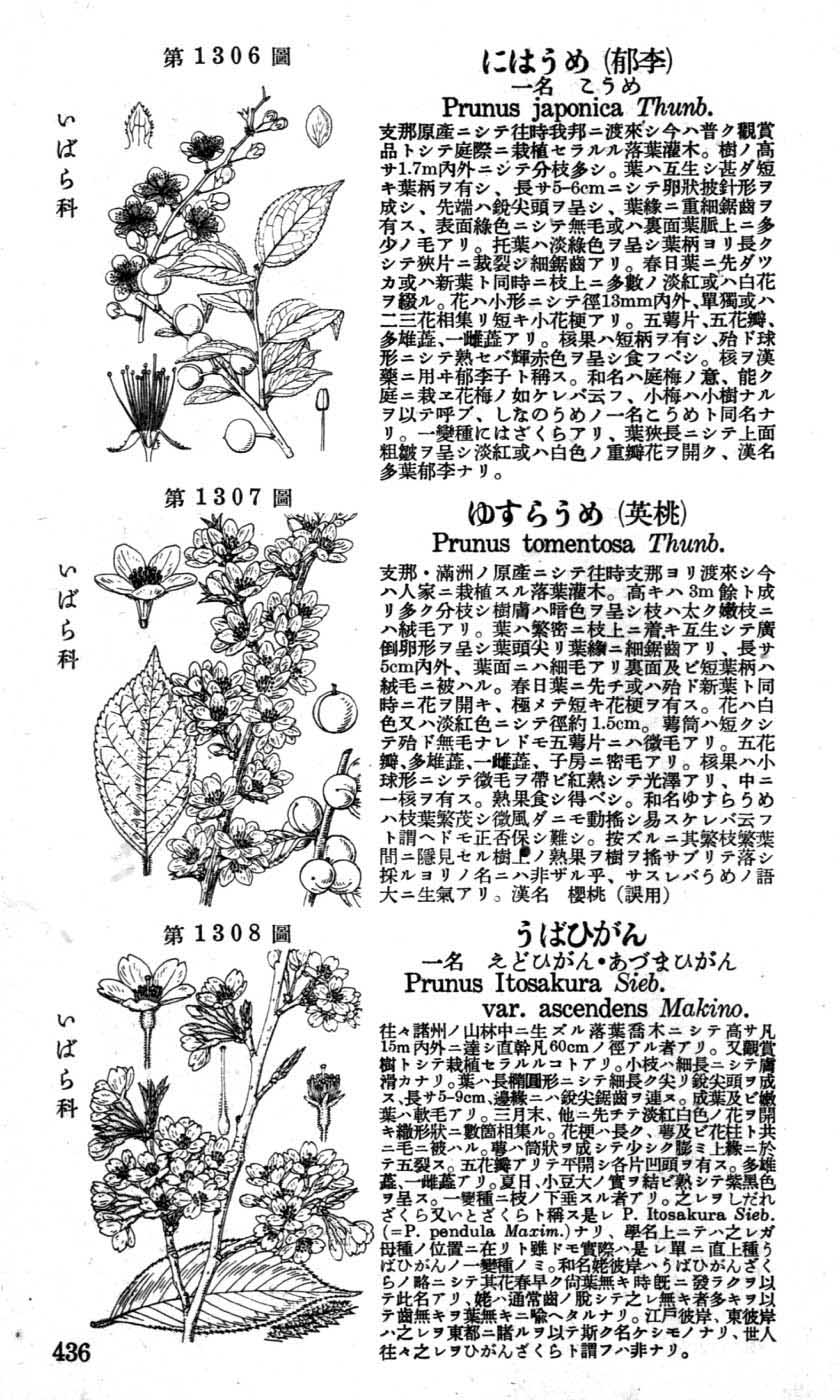 植物図鑑