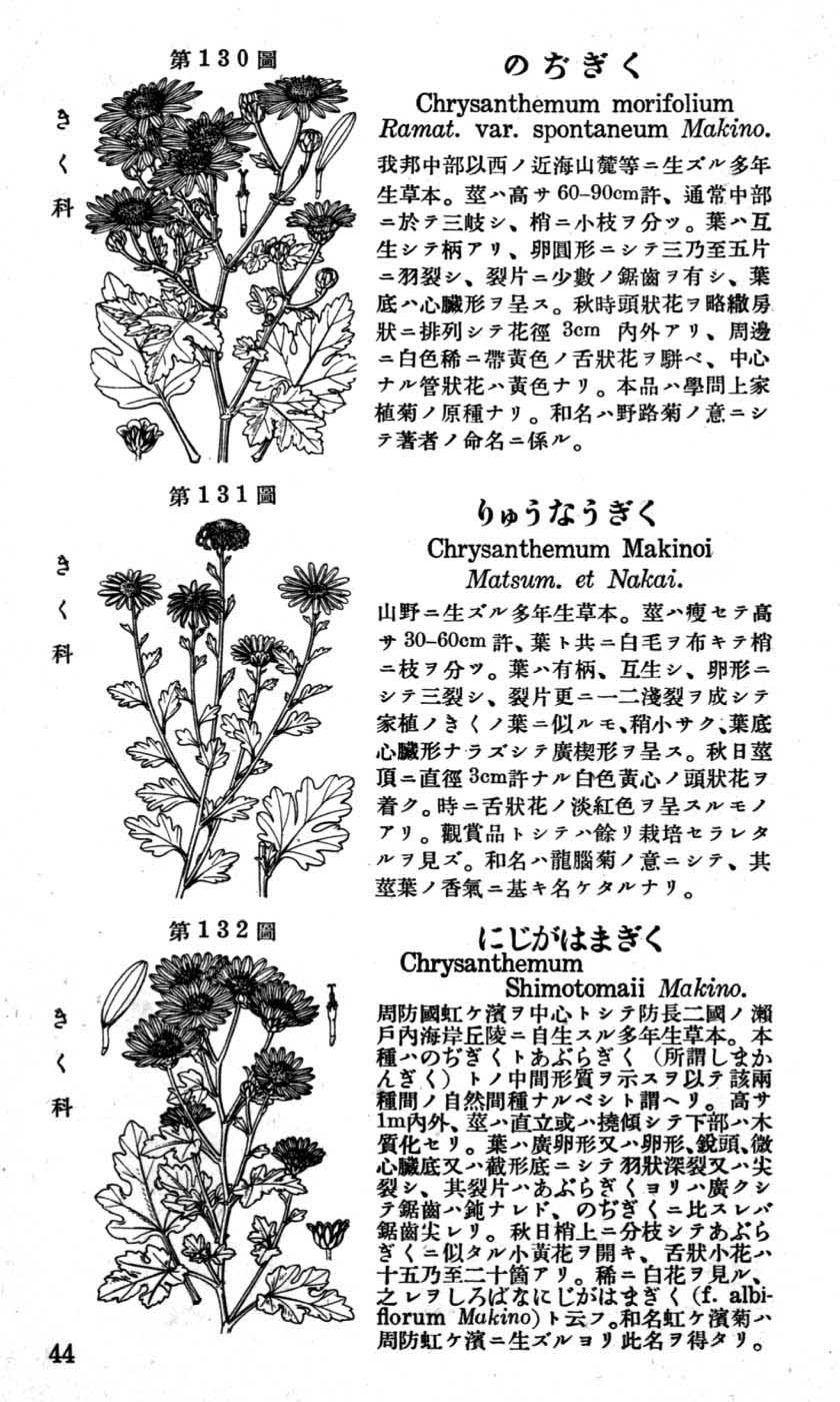 植物図鑑