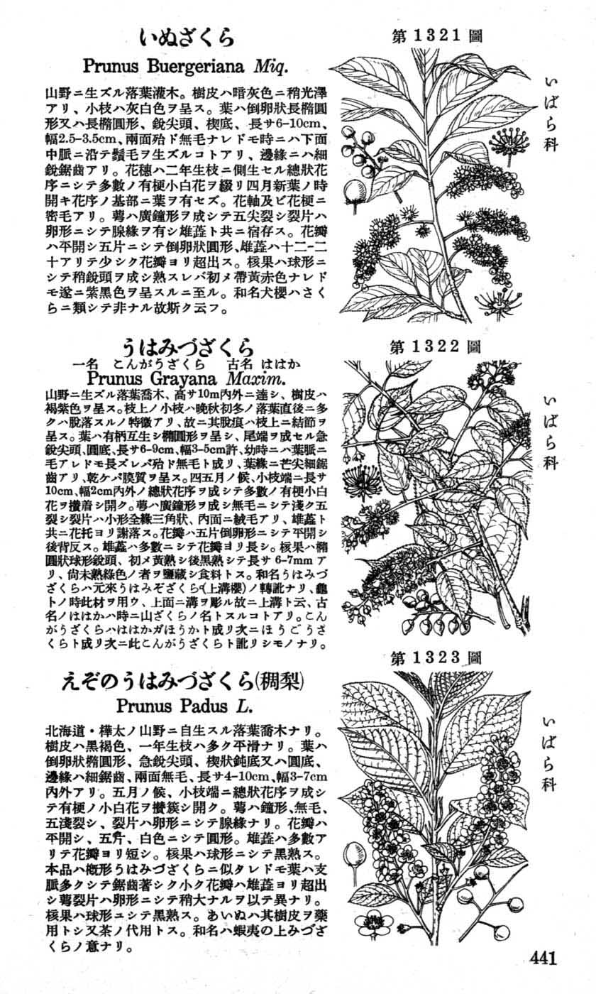 植物図鑑