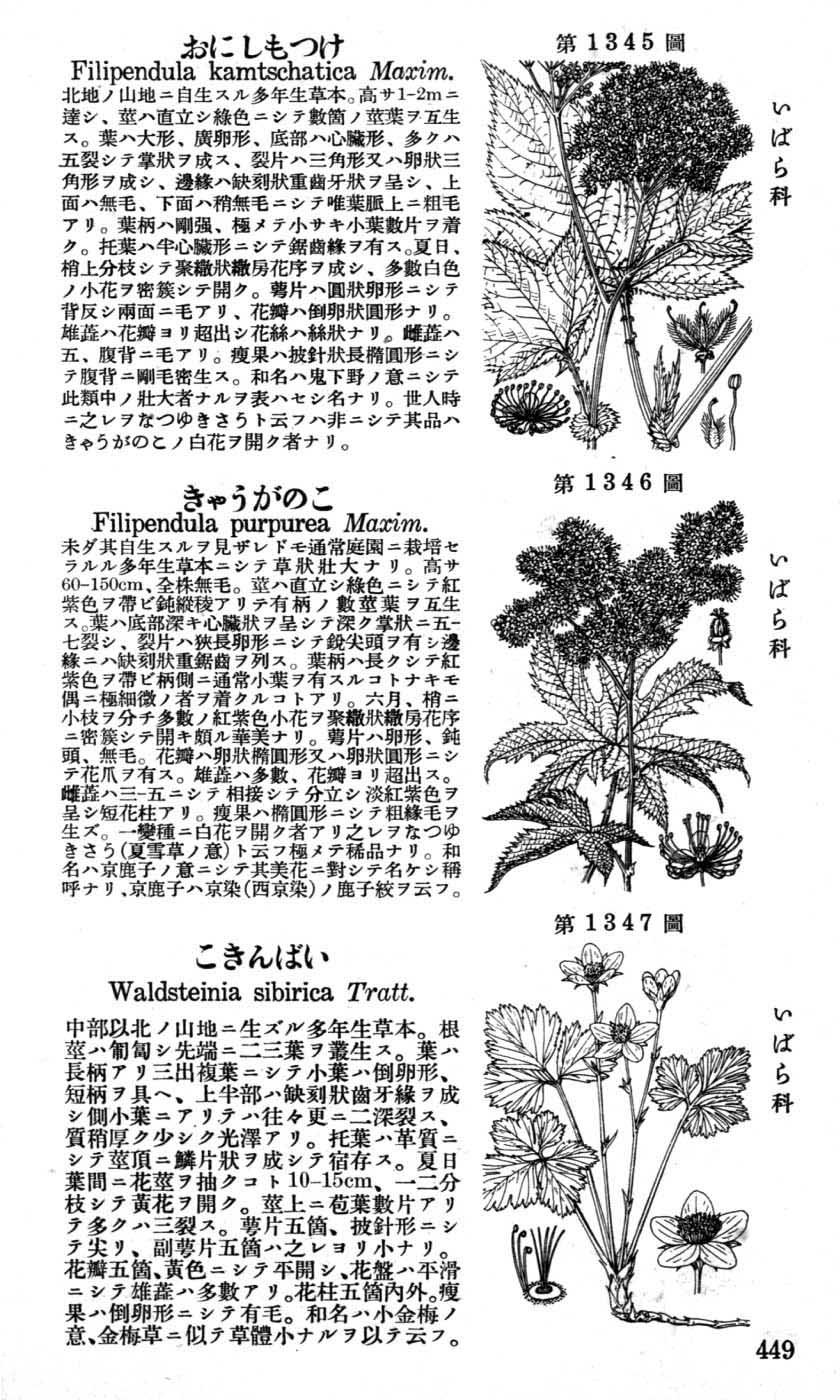 植物図鑑