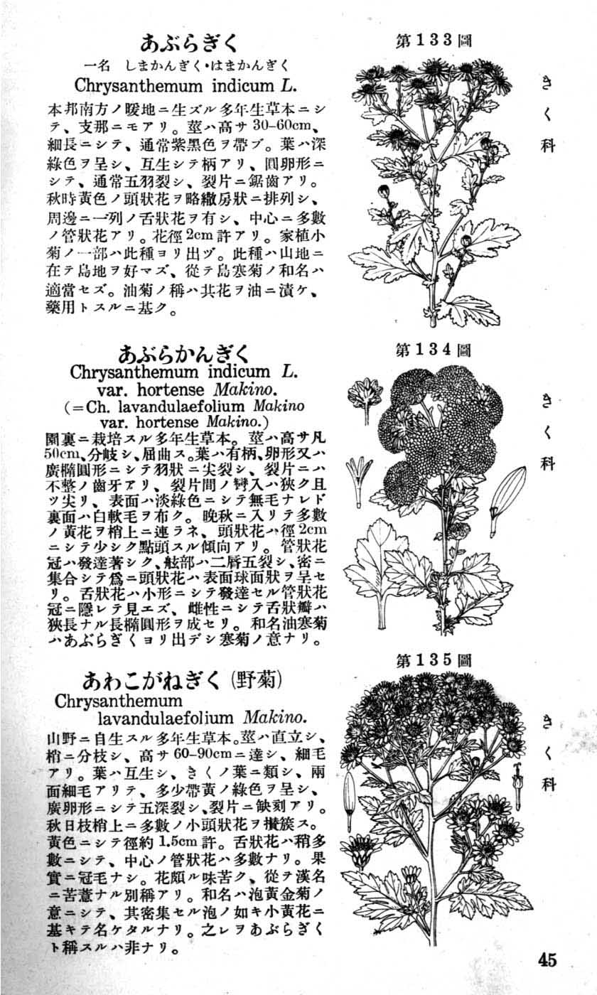 植物図鑑