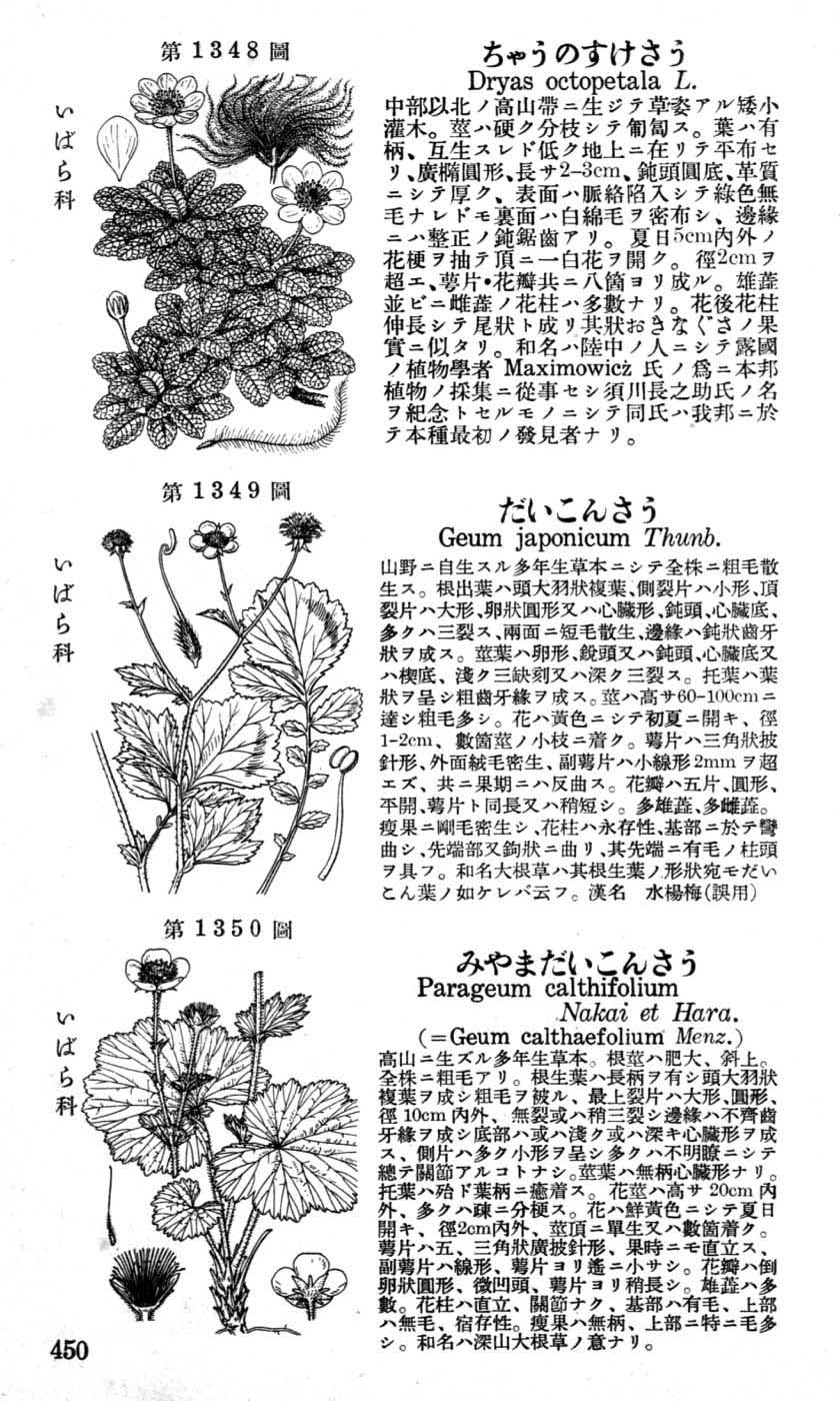 植物図鑑