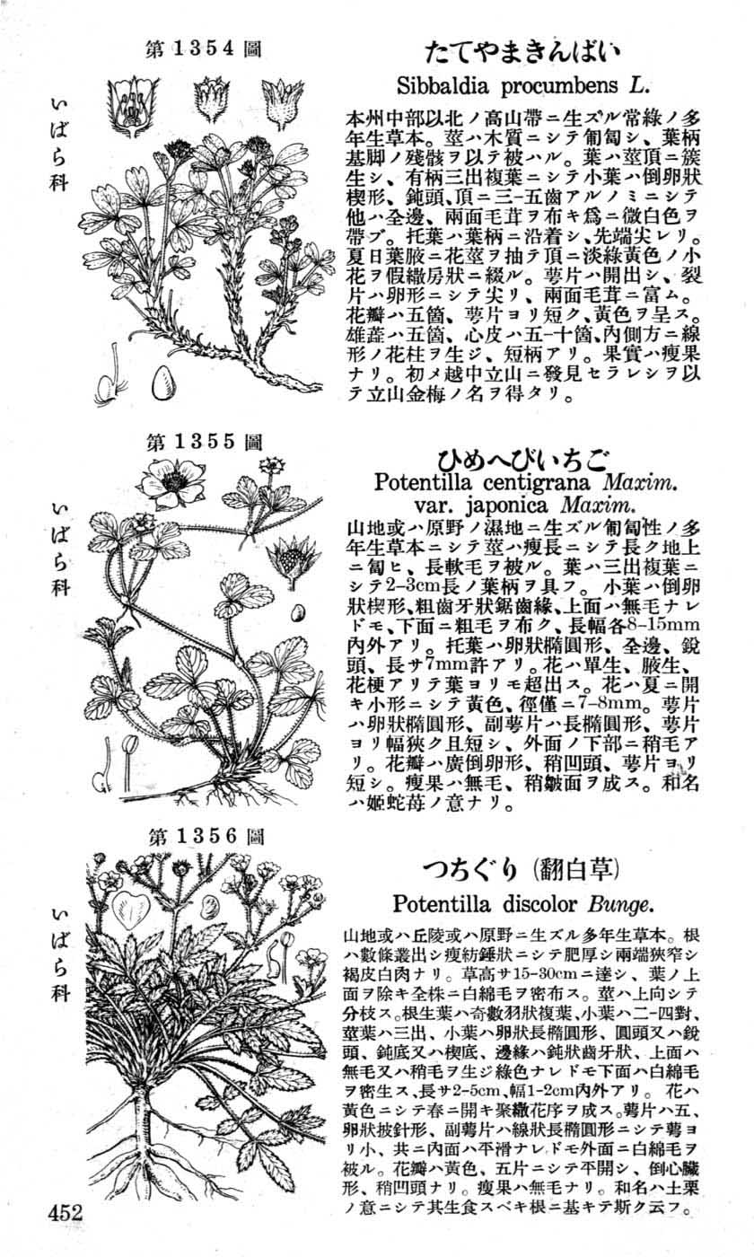 植物図鑑