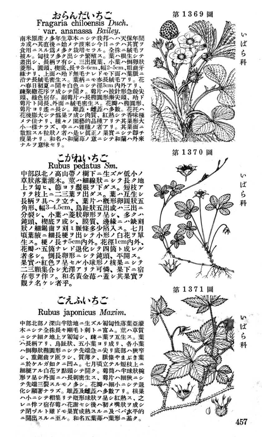 植物図鑑