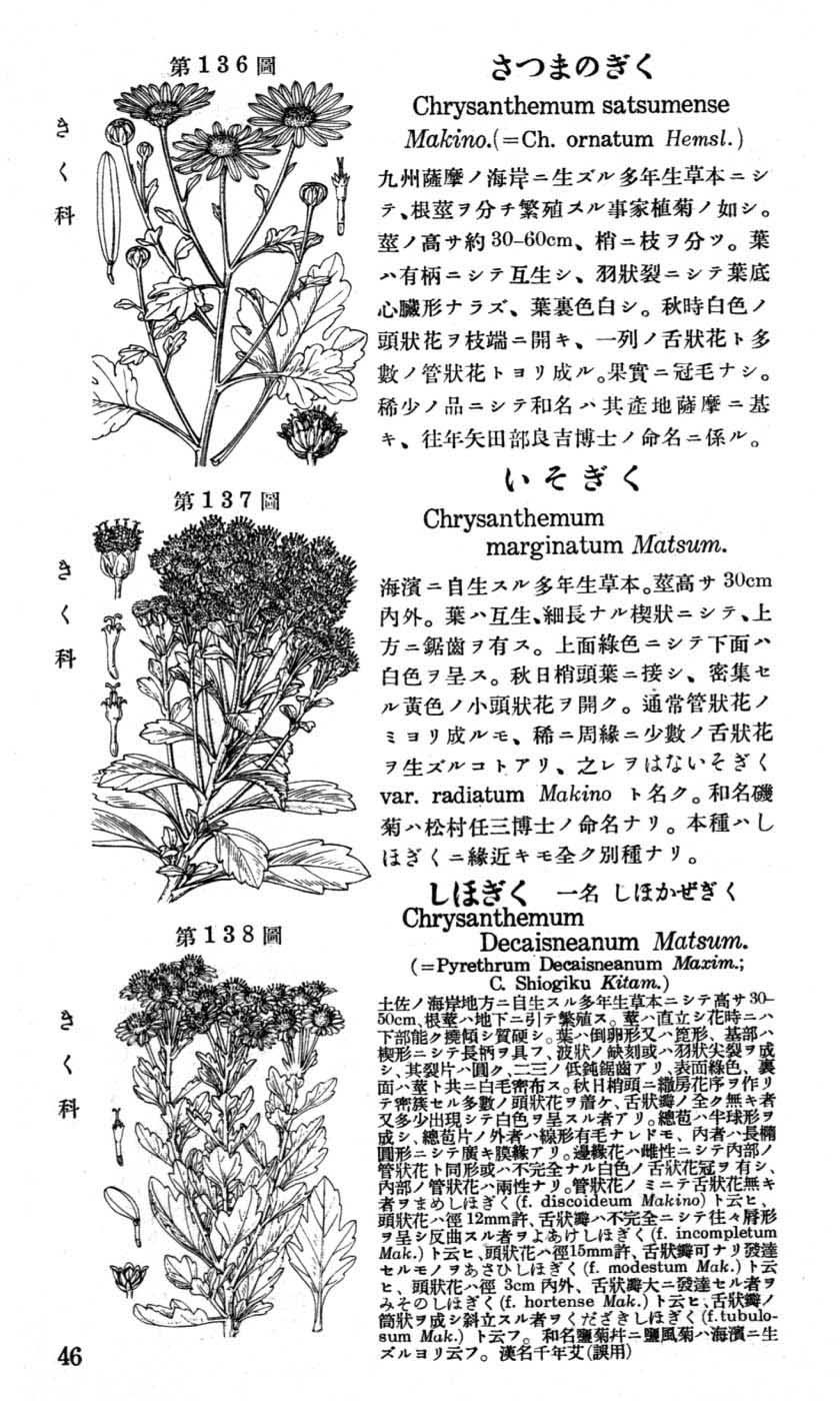 植物図鑑