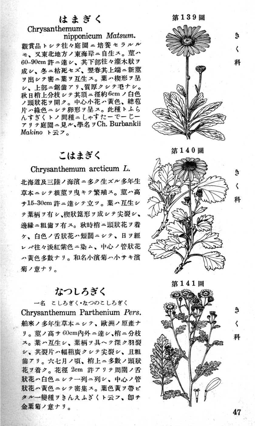 植物図鑑
