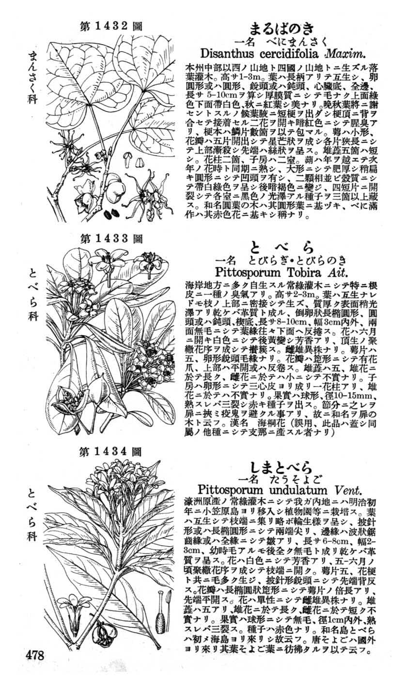 植物図鑑