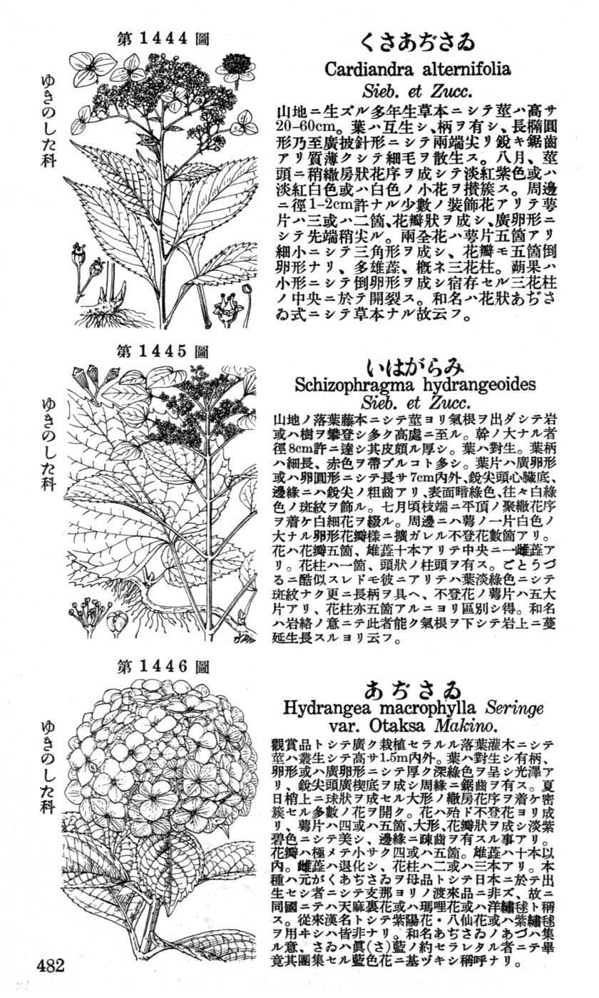 植物図鑑